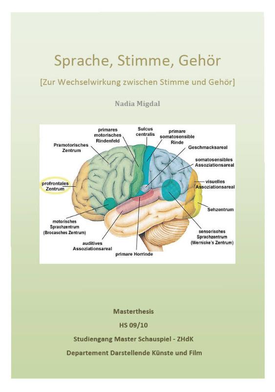 Sprache, Stimme, Gehör