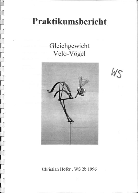 Gleichgewicht Velo-Vögel