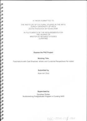 Fascinations with Cast Shadows: Artistic and Curatorial Perspectives Re-visited