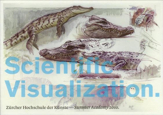 Scientific Visualization - Summer Academy 2010