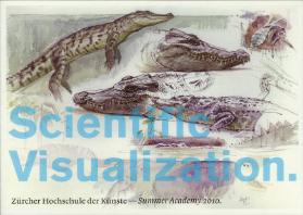 Scientific Visualization - Summer Academy 2010