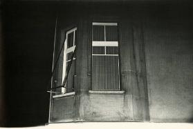 nacht schatten gewächs