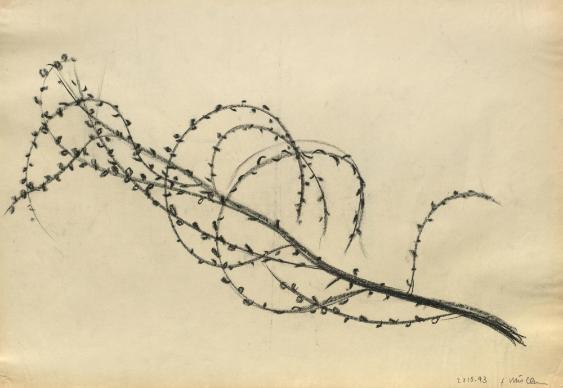 Kompositionen. Expressive Studien