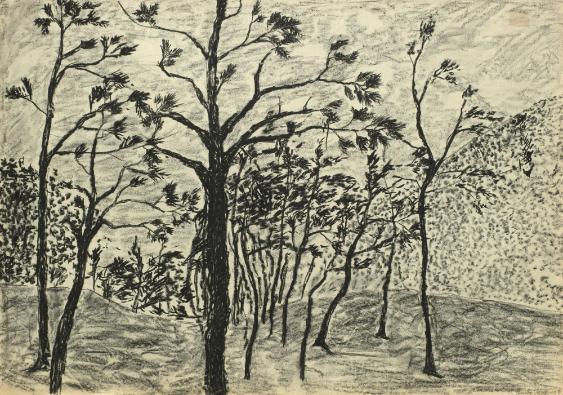 Wald