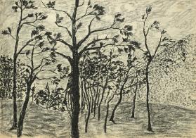 Wald