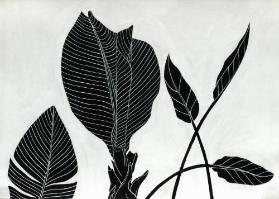 Naturstudien. Pflanzenkompositionen und Blumen