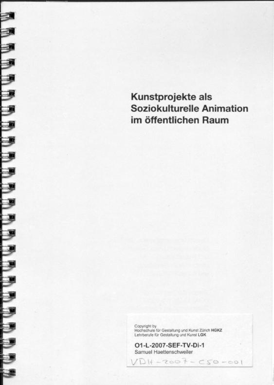 Kunstprojekte als Soziokulturelle Animation im öffentlichen Raum