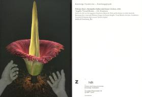 Knowledge Visualization - Forschungsprojekt