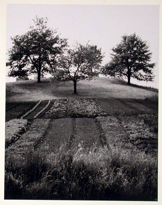 Landschaft, Natur