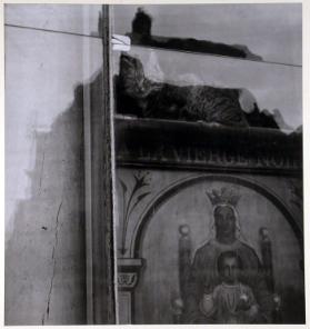 Schaufenster in Chartres ( France )
