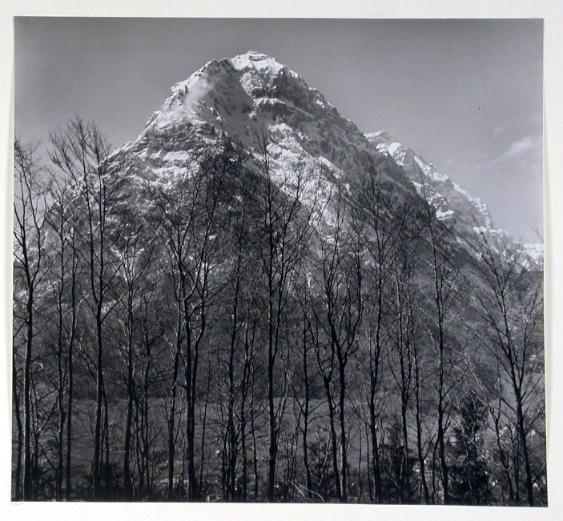 Landschaft ; frei