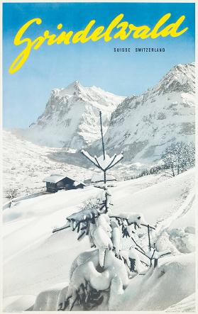 Grindelwald - Suisse - Switzerland