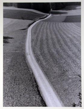 Landschaft mit Weg