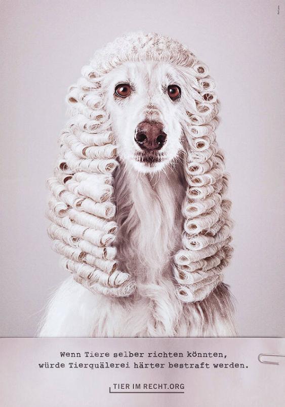 Wenn Tiere selber richten könnten, würde Tierquälerei härter bestraft werden. Tier im Recht.org