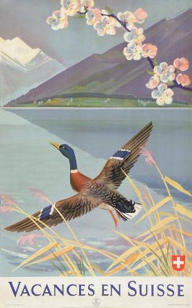Vacances en Suisse