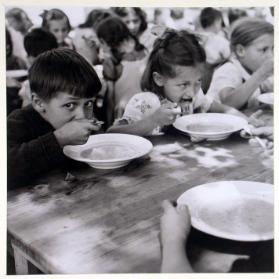 Reportage ; Waldschule