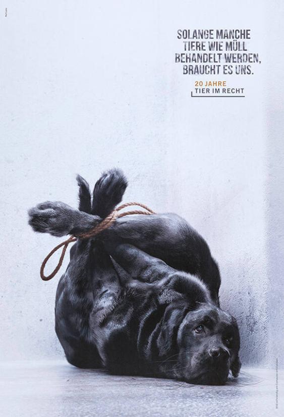 Solange manche Tiere wie Müll behandelt werden, braucht es uns. 20 Jahre Tier im Recht