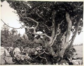 Schulreise 1947