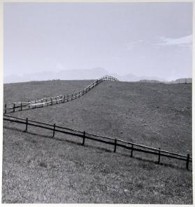 Toggenburg