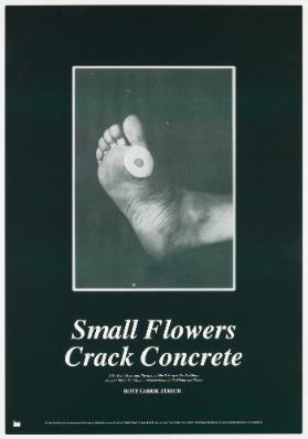 Small flowers crack concrete - Rote Fabrik Zürich