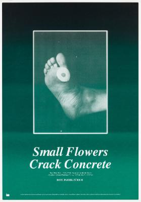 Small Flowers Crack Concrete - Rote Fabrik Zürich