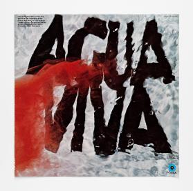 Aguaviva