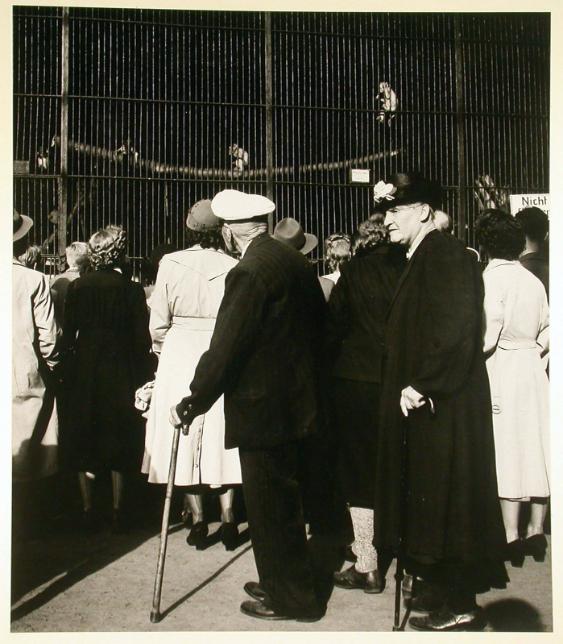 Hamburg Tierpark Hagenbeck ; Alter Käpten mit seiner Frau