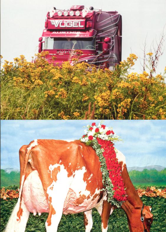 Ricardo Alexandre Almeida Santos