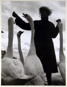 Doris Stauffer beim Füttern der Schwäne am Bürkliplatz