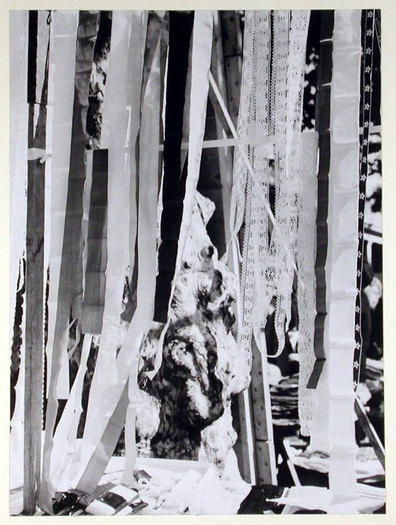 Ferienaufnahme, Struktur, Markt in Viareggio