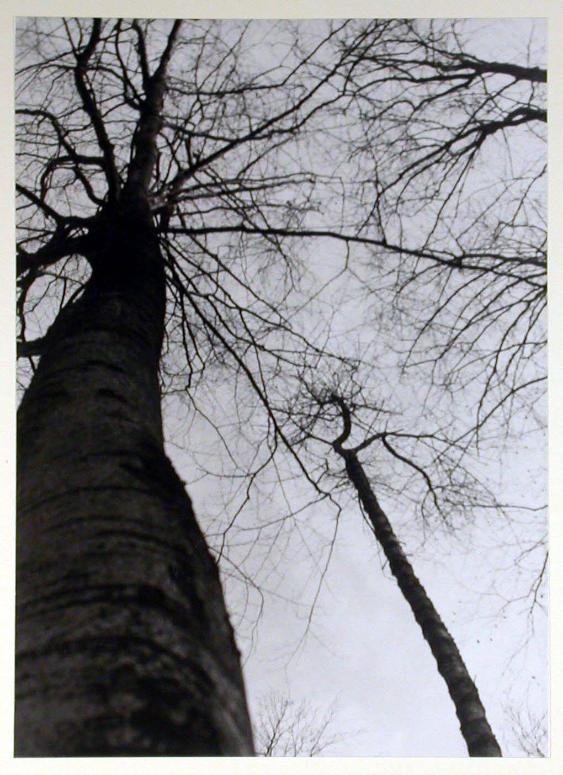 Natur
