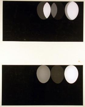 Eier