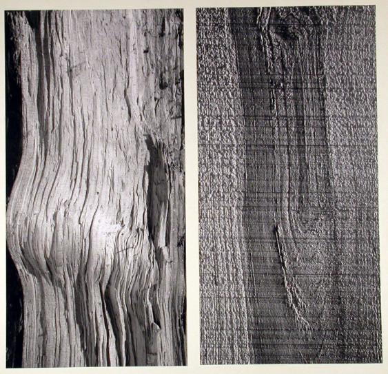 Struktur  ( Holz )