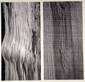 Struktur  ( Holz )