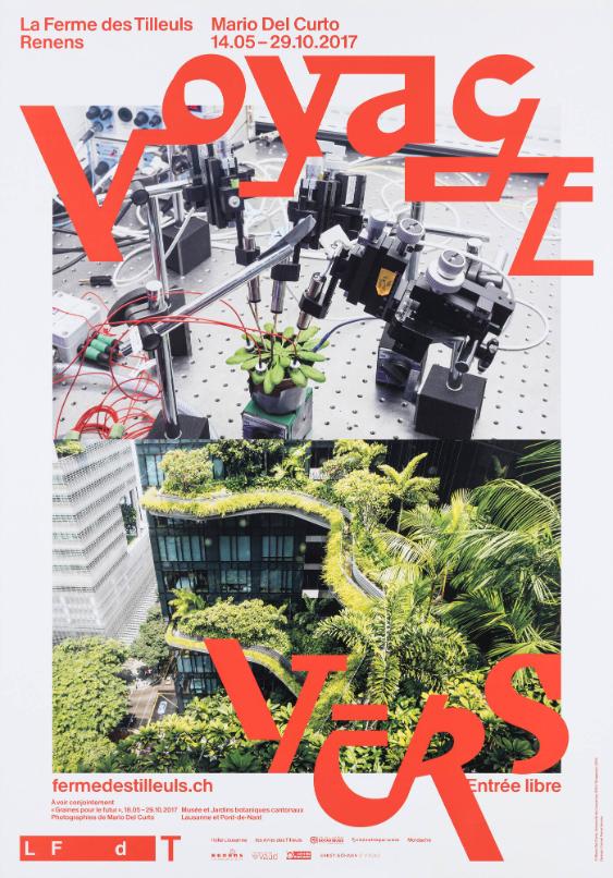 Carnal Faure Verona, Lausanne, CH