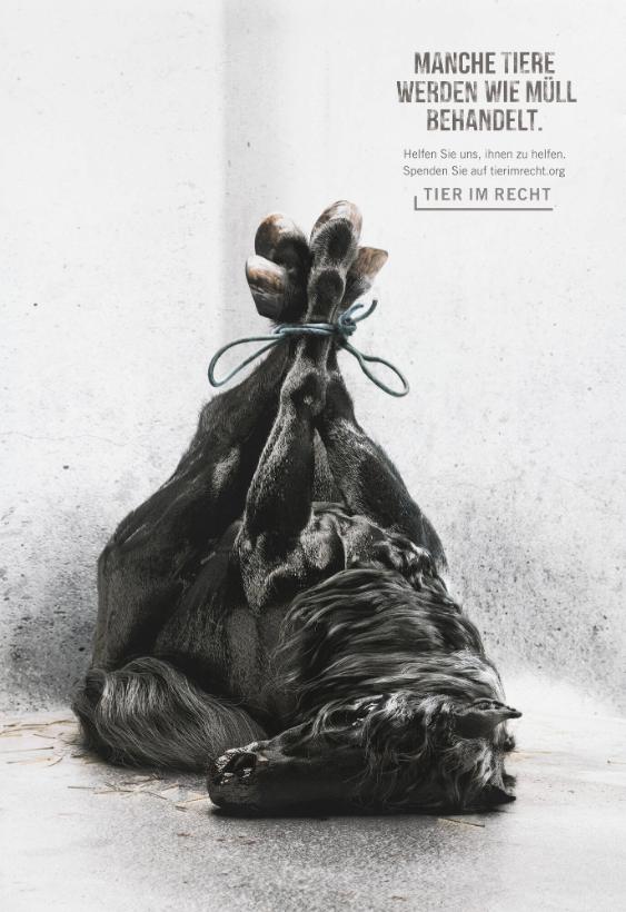 Manche Tiere werden wie Müll behandelt - Helfen Sei uns, ihnen zu helfen. Spenden Sie auf tierimrecht.org - Tier im Recht