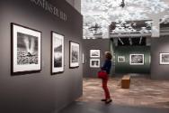 Ausstellung Sebastião Salgado – Genesis im Museum für Gestaltung, 16. November 2018 – 23. Juni …