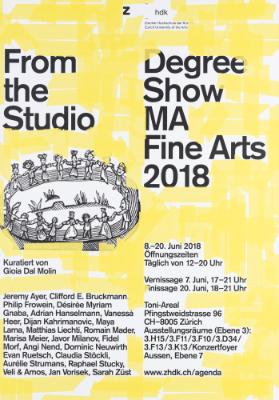 From the Studio - Degree Show MA Fine Arts