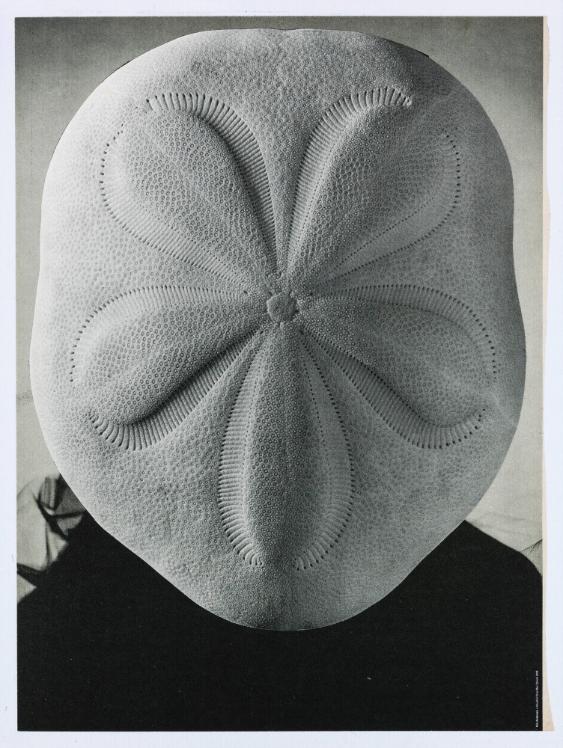 OK Haller Druck AG, Zürich, CH