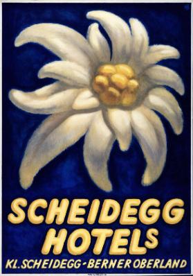 Scheidegg Hotels - Kl. Scheidegg - Berner Oberland