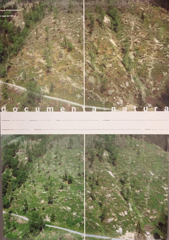 Documenta Natura