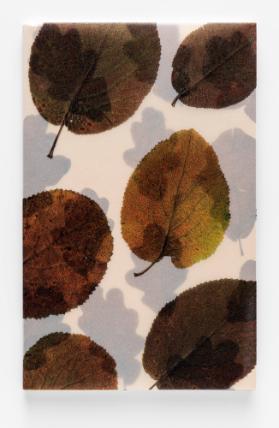 Herbstlaub