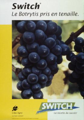 Switch - Le Botrytis pris en tenaille.