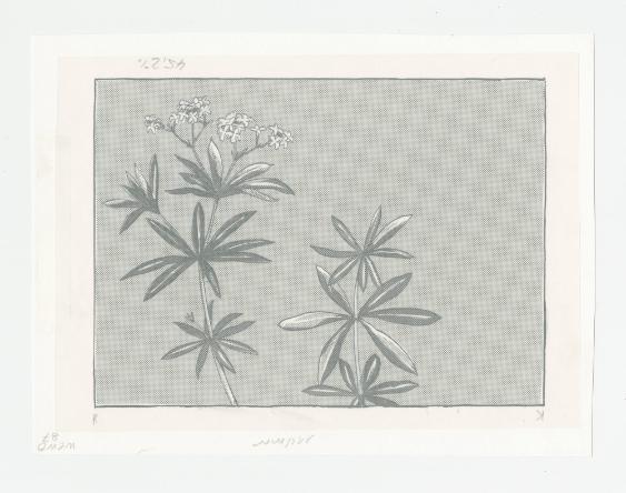 [Total in: Das heisse Getränk, eiskalt serviert, heisst Bowle]