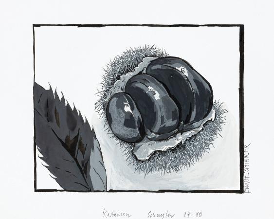 [Es müssen nicht immer Vermicelles sein]