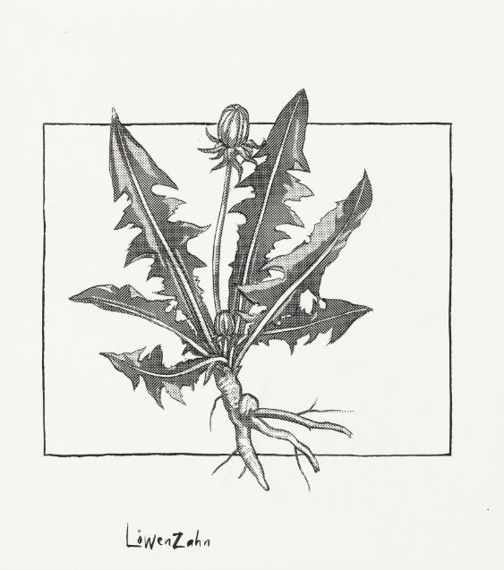 [Frühlings-Unkraut auf dem Teller und Pornos auf der Seidenkrawatte]