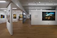 Targets - Fotografien von Herlinde Koelbl; Ausstellungsansicht