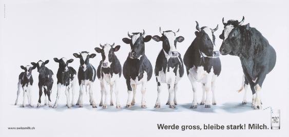Milch gibt starke Knochen. www.swissmilk.ch