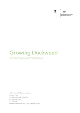 Growing Duckweed. Eine Kultivierung im Privathaushalt.
