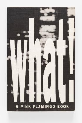 What! - A Pink Flamingo Book